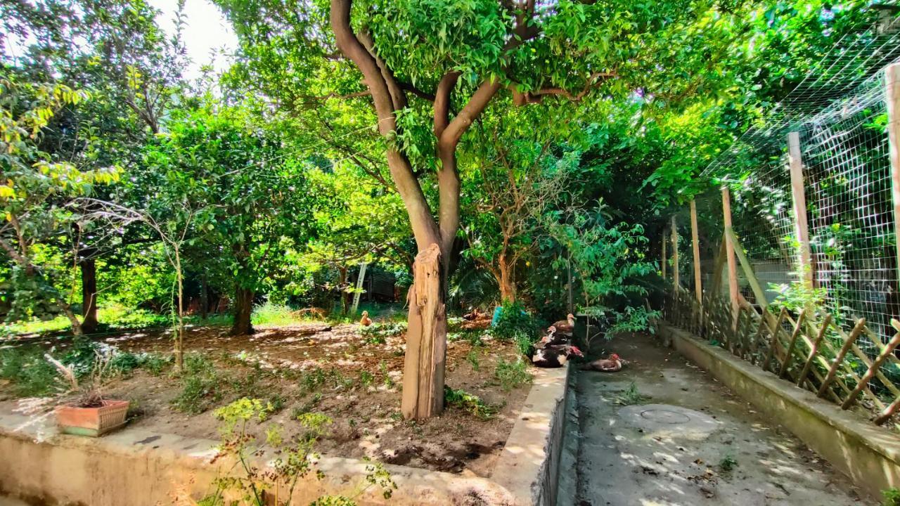 Casa Vacanza "Nonna Matilde" A Meta Di Sorrento, 600Mt Dal Mare, Casa Per 4 المظهر الخارجي الصورة